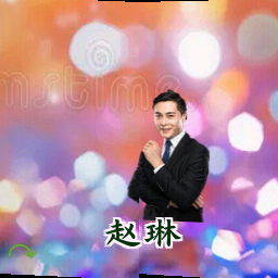 赵琳